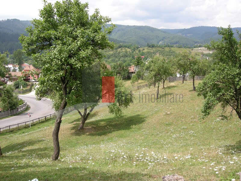 Rucar, teren intravilan 3.214 mp, in cu deschidere 56 m in DN73